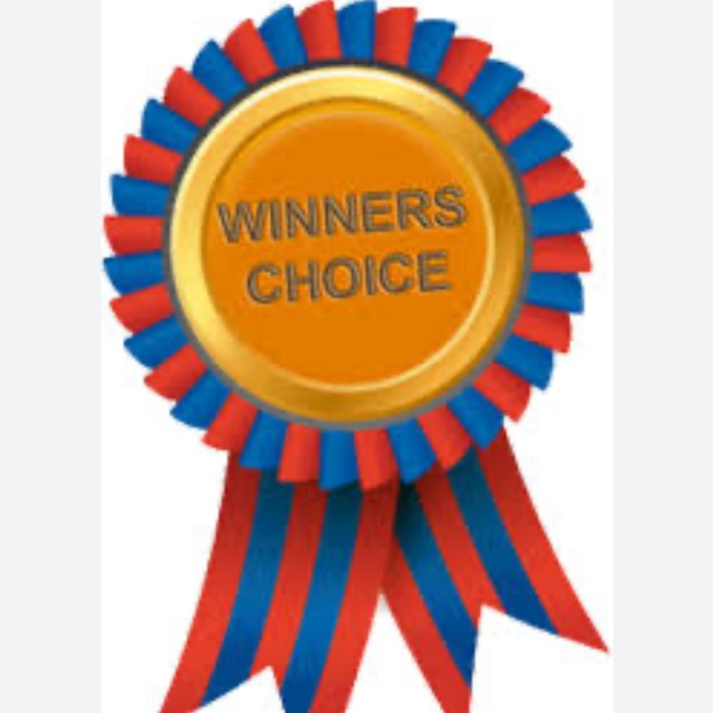 Winner’s Choice - All NEW - Seven bags to choose from